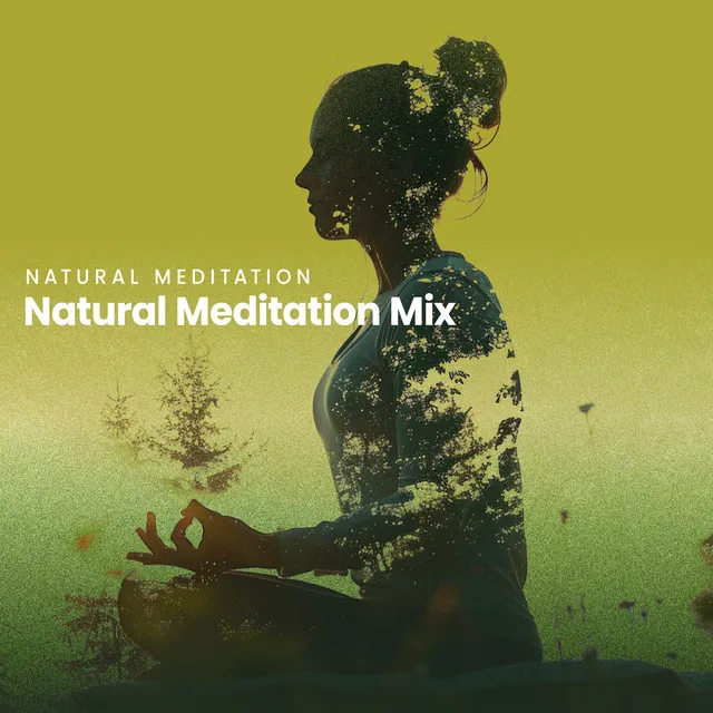 Natural Meditation Mix