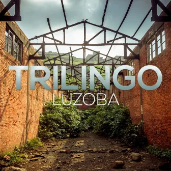 Luzoba by Trilingo