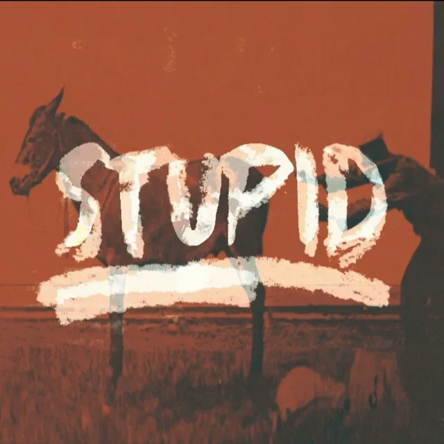 STUPID