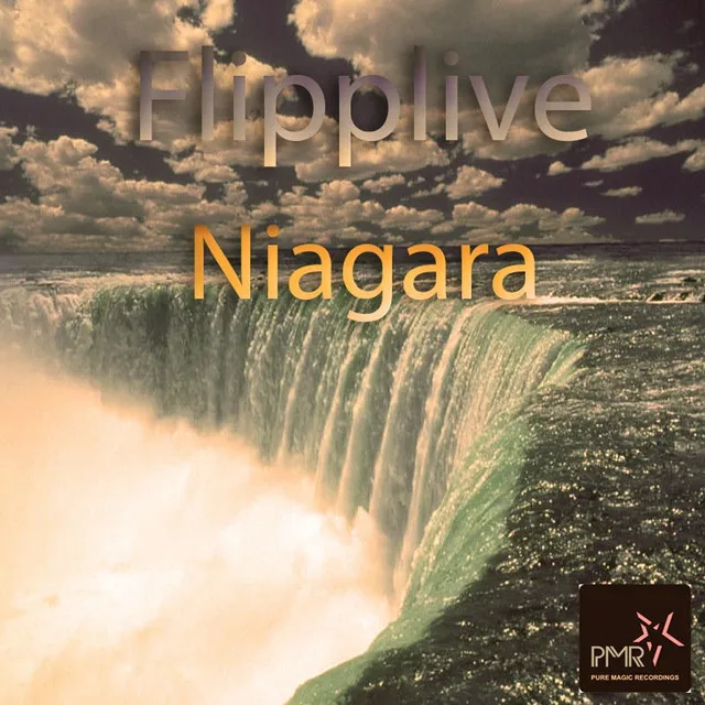 Niagara - Damian Wasse Intro Remix