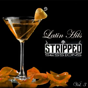 Stripped Sessions, Vol. 3 by Unknown Artist