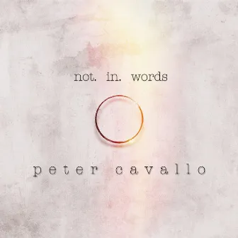 Not In Words by Peter Cavallo