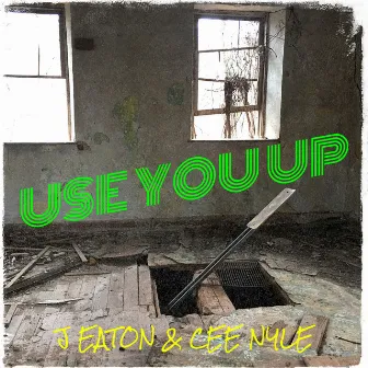 Use You Up by Cee Nyle