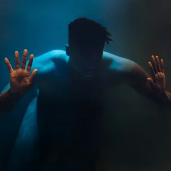 Doomed by Moses Sumney