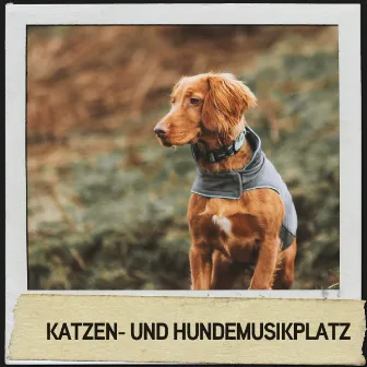 Katzen- und Hundemusikplatz: Beruhigende Melodien für Naptime by Hundemusikk