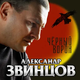 Чёрный ворон by Unknown Artist