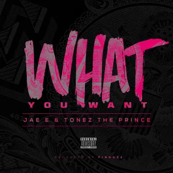 What You Want (feat. Tonez the Prince) by Jae E