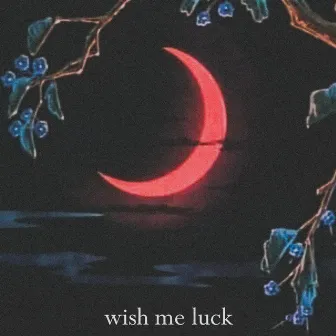 Wish me luck by Antieveryone