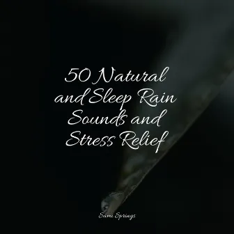 50 Natural and Sleep Rain Sounds and Stress Relief by Nature Sounds Artists