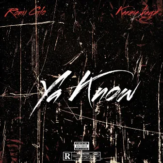 Ya Know by Ronii Glo