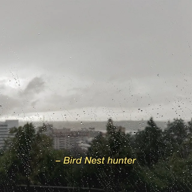 Bird Nest Hunter - Remix