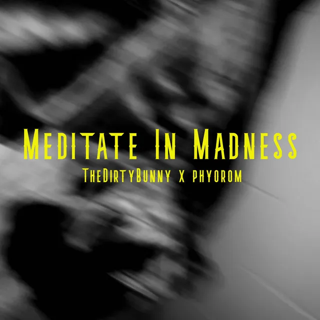 Meditate in Madness