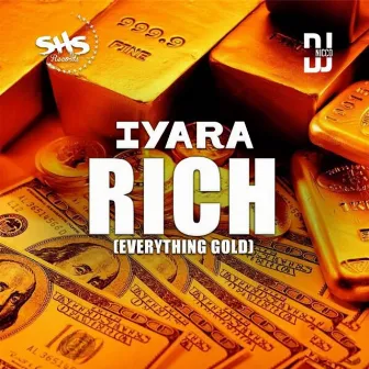 Rich (Everything Gold) [Radio Edit] by Dj Nicco