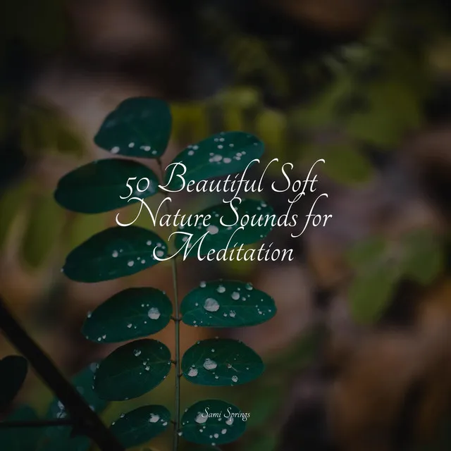 50 Beautiful Soft Nature Sounds for Meditation