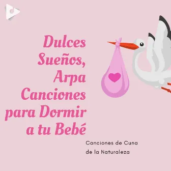 Dulces Sueños, Arpa Canciones para Dormir a tu Bebé by Canciones Infantiles En Español