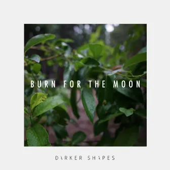 Burn for the Moon by Darker Shapes