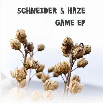 Game EP by Schneider & Haze