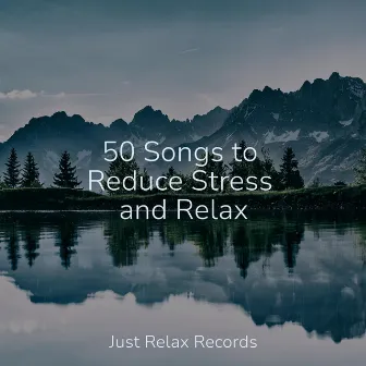 50 Songs to Reduce Stress and Relax by Sleepy Night Music