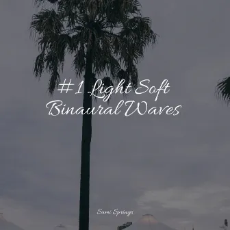 #1 Light Soft Binaural Waves by Thunder Storm