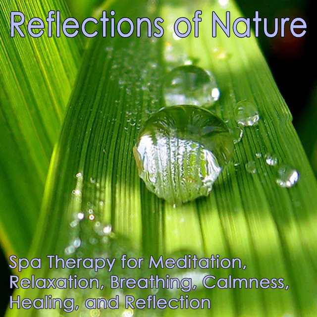 Reflections of Nature: Meditation, Relaxation, Breathing, Calmness, Healing and Reflection