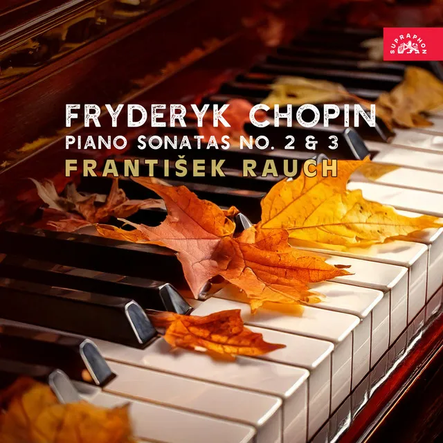 Piano Sonata No. 2 in B-Flat Minor, Op. 35: I. Grave - Doppio movimento