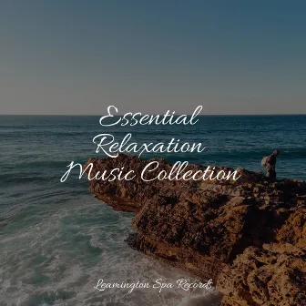 Essential Relaxation Music Collection by Nature and Rain