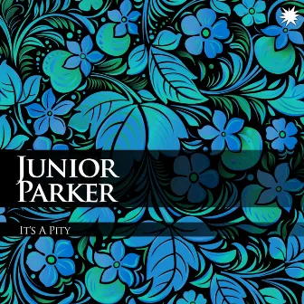 It's A Pity by Junior Parker