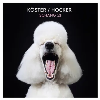 Schäng '21 by Köster & Hocker