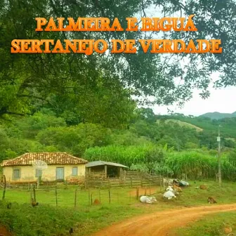 Sertanejo de Verdade by Palmeira e Biguá