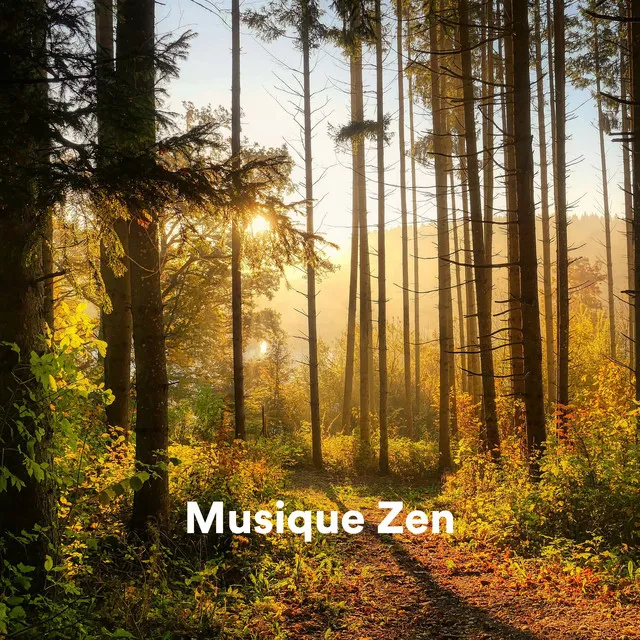 Musique zen