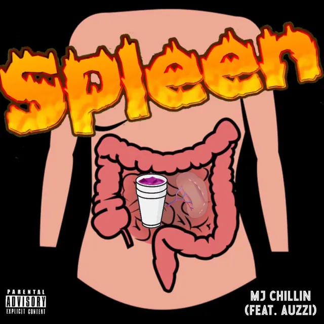 Spleen