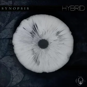 Synopsis by Hybrid