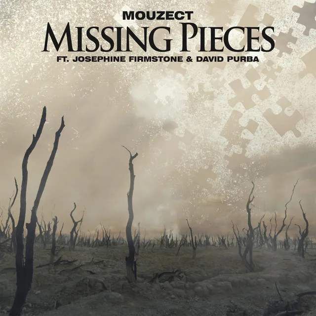 Missing Pieces