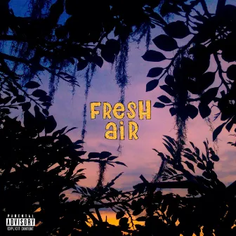 Fresh Air by Ricky Bandana