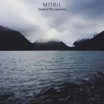 Several Perceptions by Moril