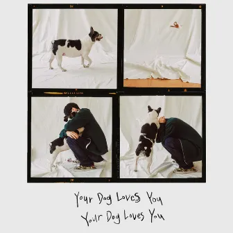 Your Dog Loves You by Colde