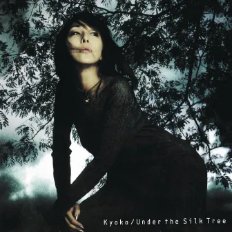 Under the Silk Tree by Kyoko