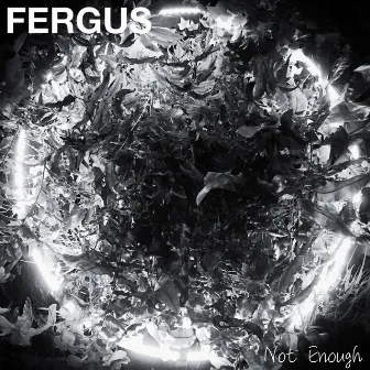 Not Enough by Fergus