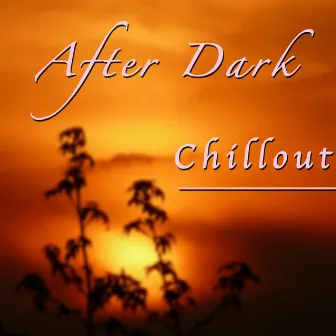 After Dark Chill Out Music - Best Buddha Mix Sounds by Classical Café Chill Lounge Music Bar