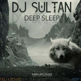 Deep Sleep by DJ Sultan