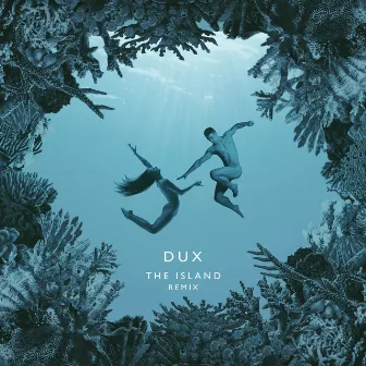 The Island (Remix) by DUX