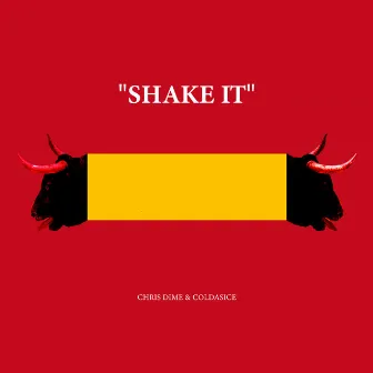 Shake It by Chris Dime