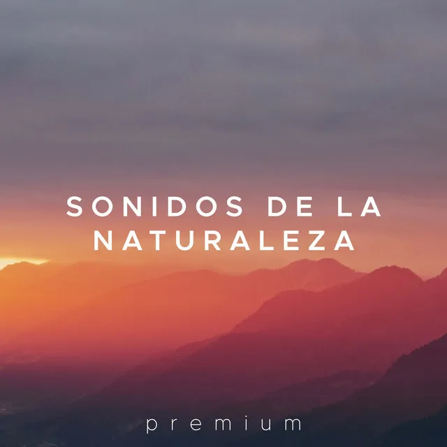 Sonidos de la Naturaleza Premium - Musica Relajante para tu Calma, Tranquilidad y Paz Interior