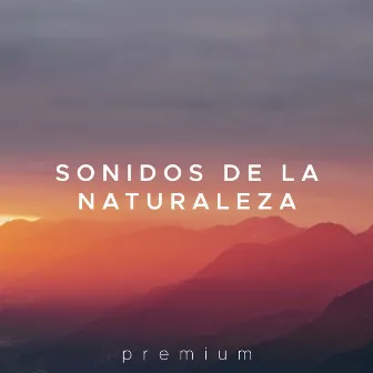 Sonidos de la Naturaleza Premium - Musica Relajante para tu Calma, Tranquilidad y Paz Interior by Unknown Artist