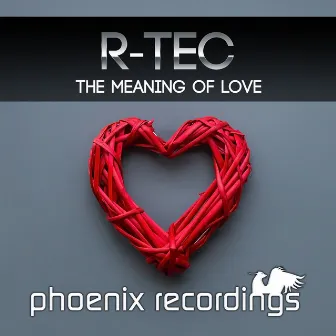 The Meaning of Love by R-TEC