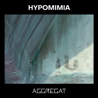 Hypomimia by Aggregat