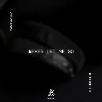 Never Let Me Go by Chris Viviano