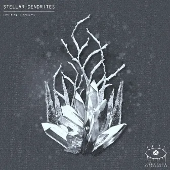 intuition by Stellar Dendrites