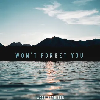 Won't Forget You by Jacob Stanifer