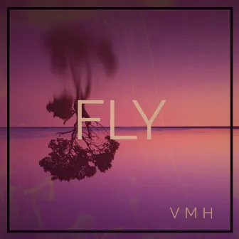 Fly by VMH